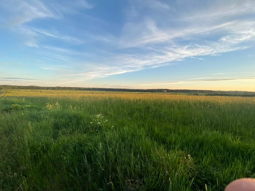 Всегда на связи